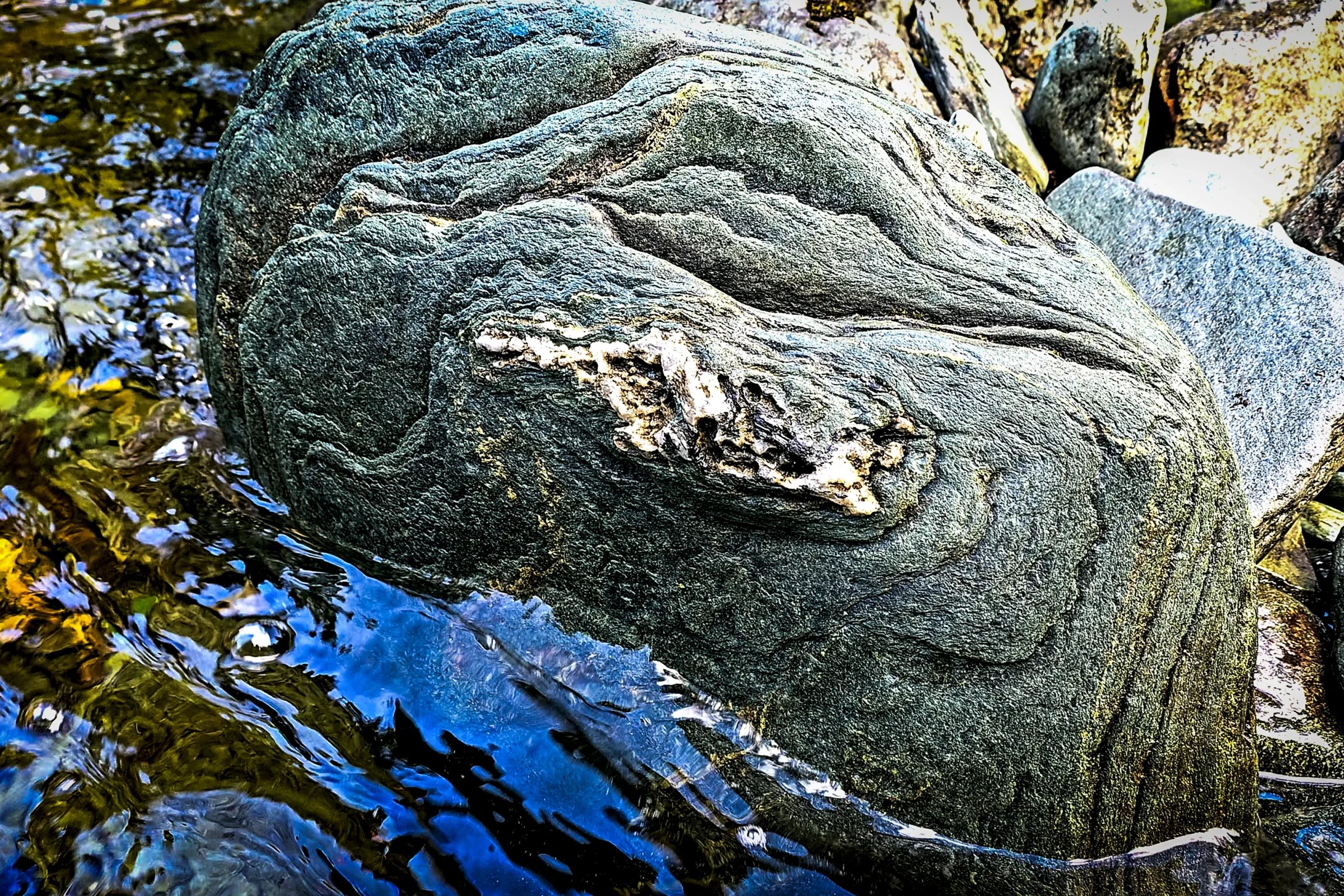 Topographies - Mont Nicol-Albert