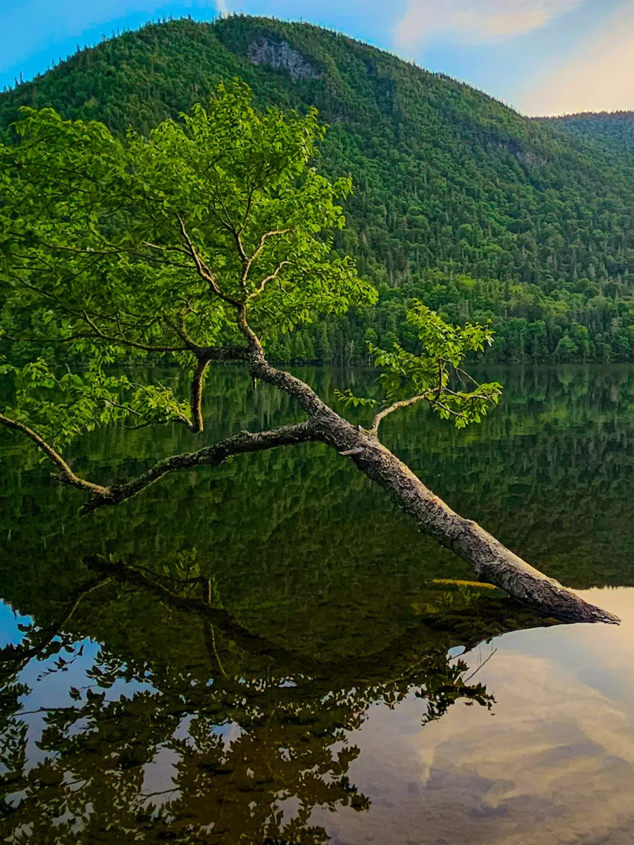 Topographies - Montagne a Valcourt
