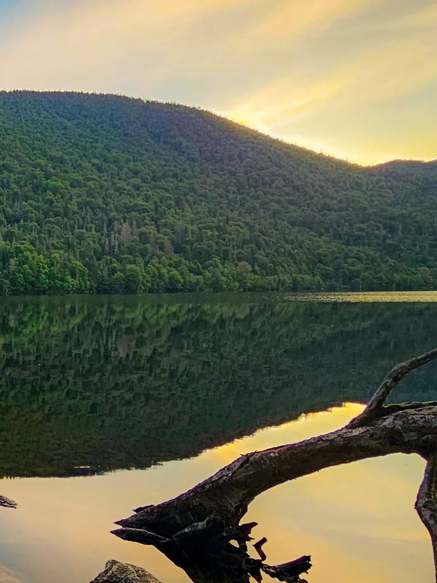 Topographies - Montagne a Valcourt