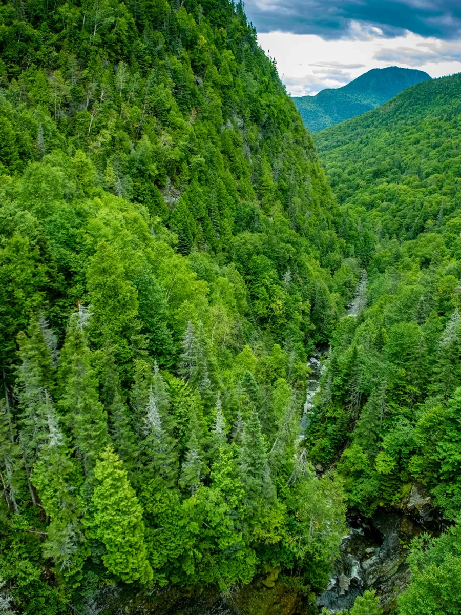 Topographies - Mont Nicol-Albert