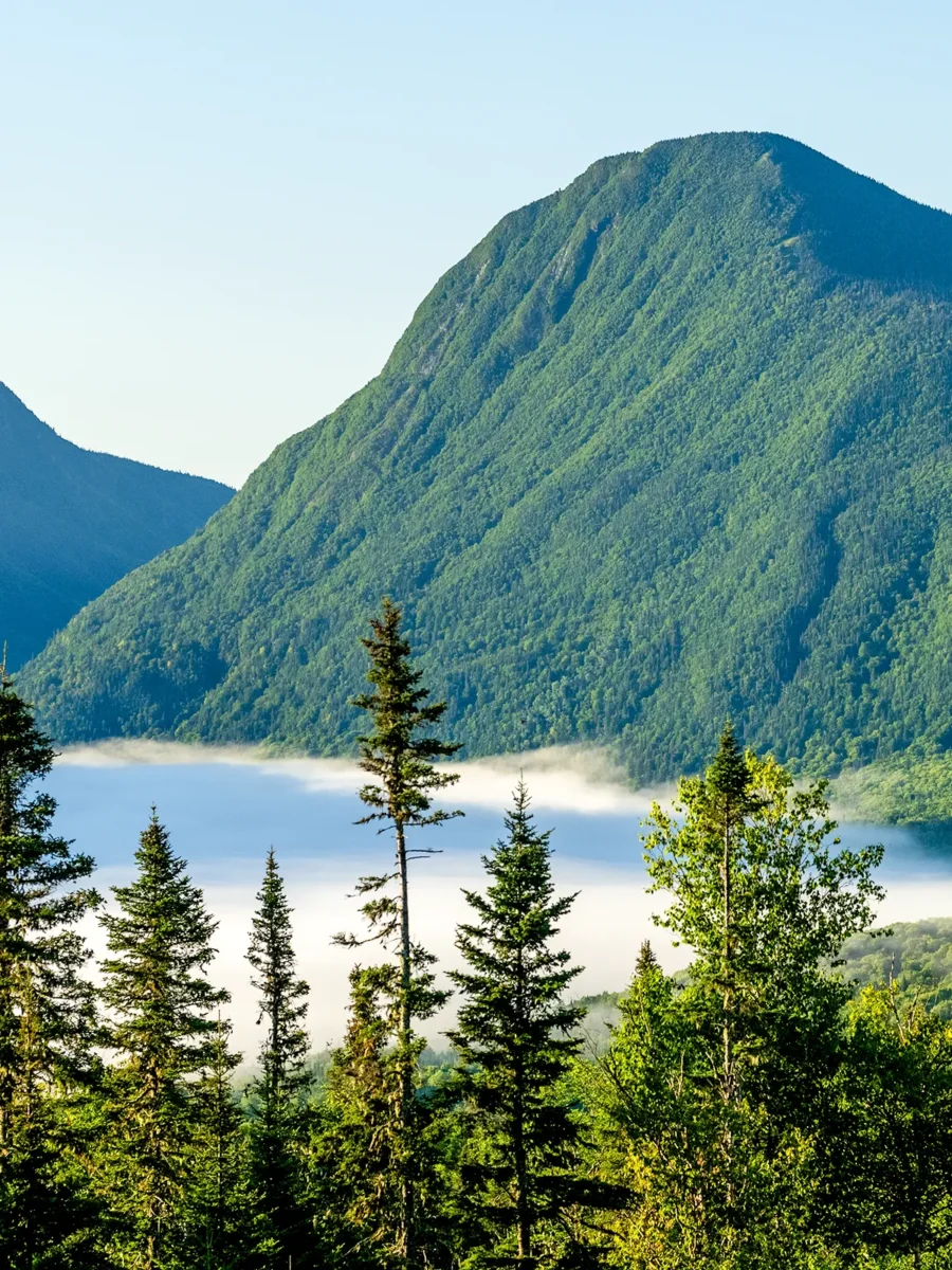 Topographies - Mont Nicol-Albert