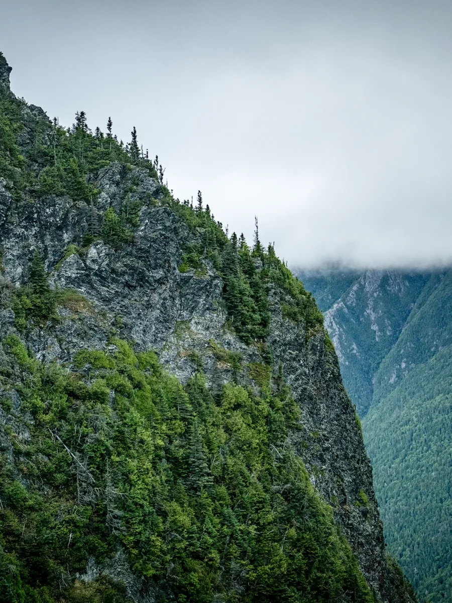 Topographies - Mont Nicol-Albert